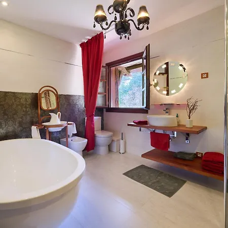 The Basque Experience By Fidalsa Villa *