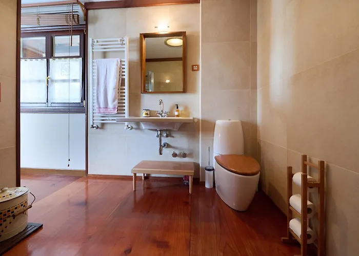 The Basque Experience By Fidalsa Ochandiano